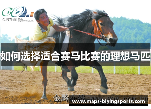 如何选择适合赛马比赛的理想马匹
