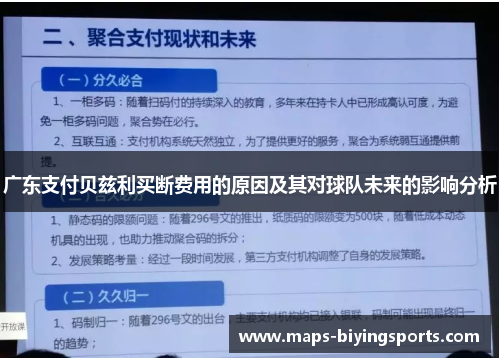 广东支付贝兹利买断费用的原因及其对球队未来的影响分析