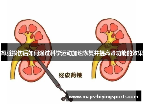 肾脏损伤后如何通过科学运动加速恢复并提高肾功能的效果