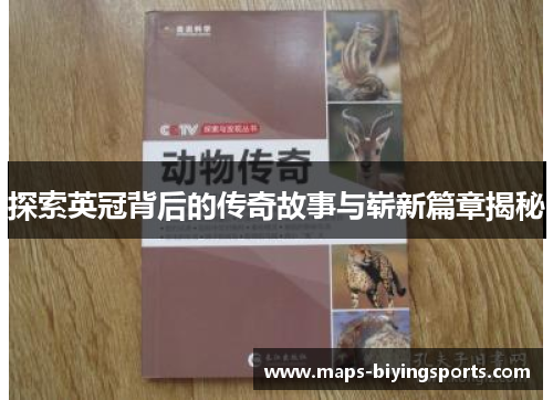 探索英冠背后的传奇故事与崭新篇章揭秘 探索英冠背后的传奇故事与崭新篇章揭秘