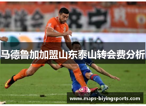 马德鲁加加盟山东泰山转会费分析